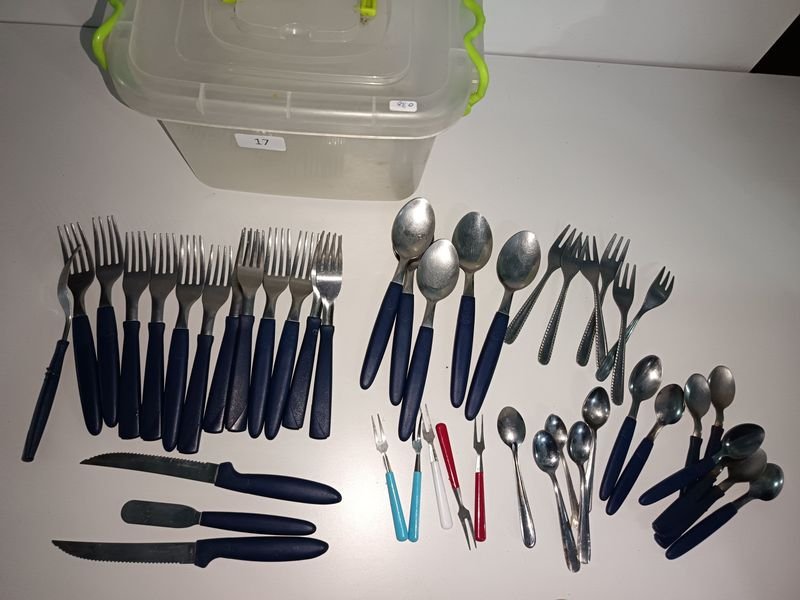 Caja Organizadora Plástica con Cubiertos Varios
