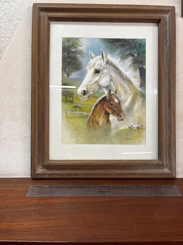 Cuadro de Caballos enmarcado - imagen 1
