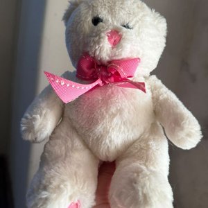 Lote anterior: Oso de Peluche Blanco con Moño Rosa