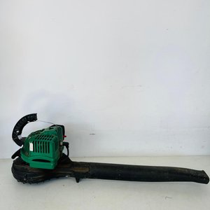 Lote siguiente: Sopladora de Hojas Verde
