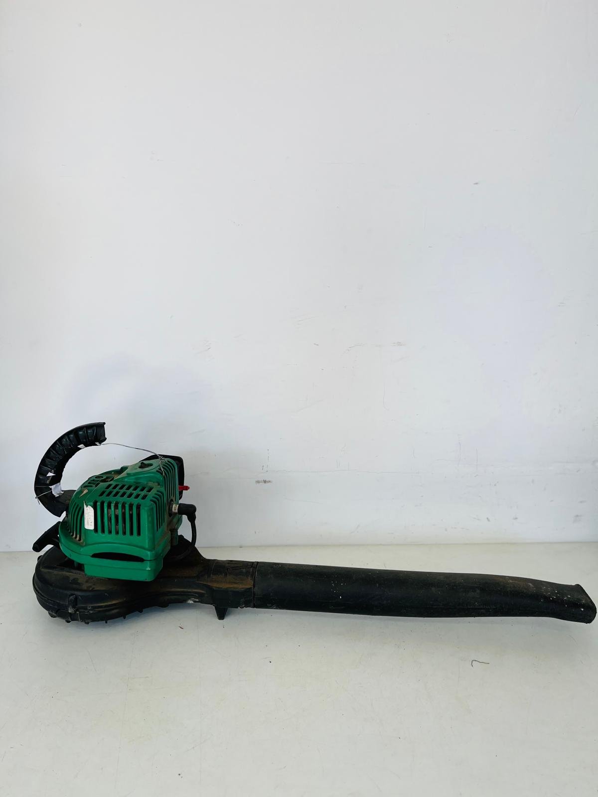 Sopladora de Hojas Verde