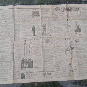 Periódico "La Mosca" de Octubre y Diciembre 1905 - Prensa Satírica Uruguaya - imagen 3
