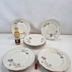 Juego de 12 Platos de Porcelana Hutschenreuther Alt Weimar Bavaria con Cardos y Bordes Plateados - imagen 2