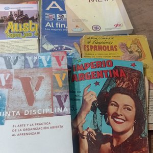 Lote de Libros Variados: Idiomas, Revistas y Más - imagen 4