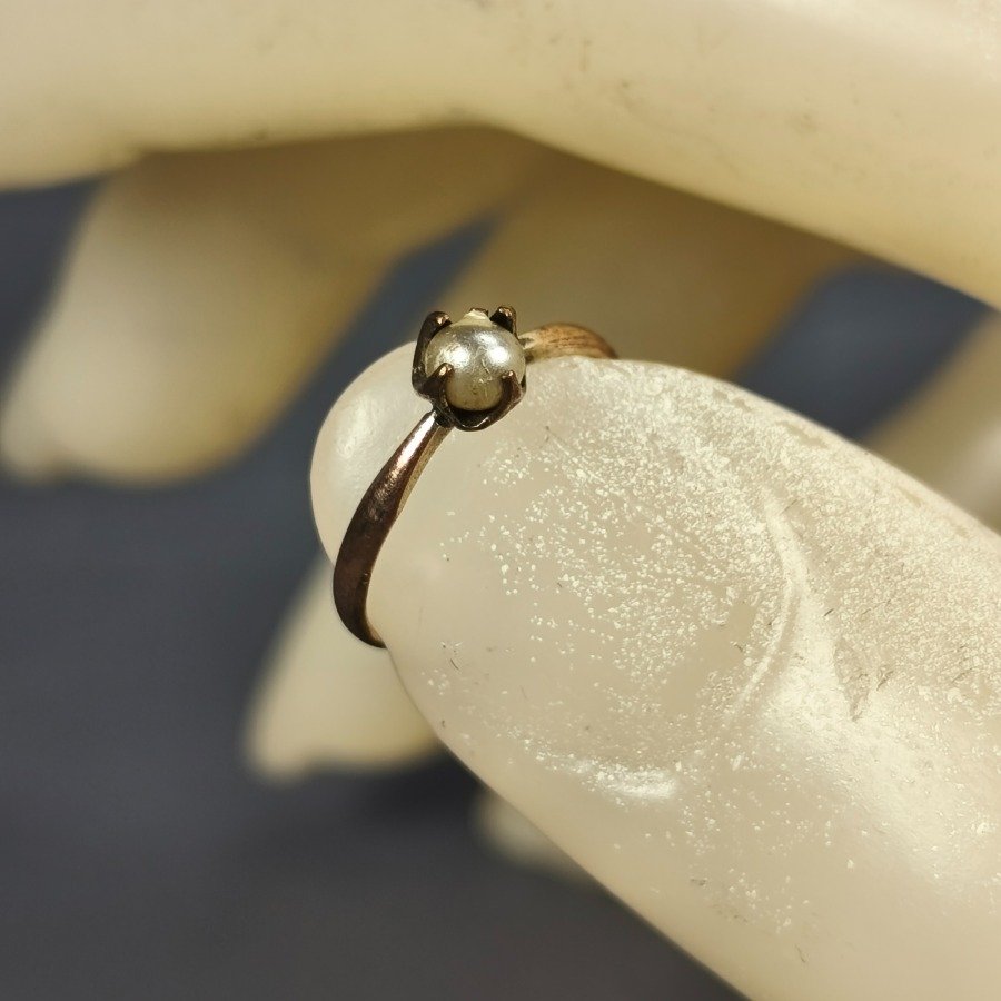 Item 16355 - Image 2