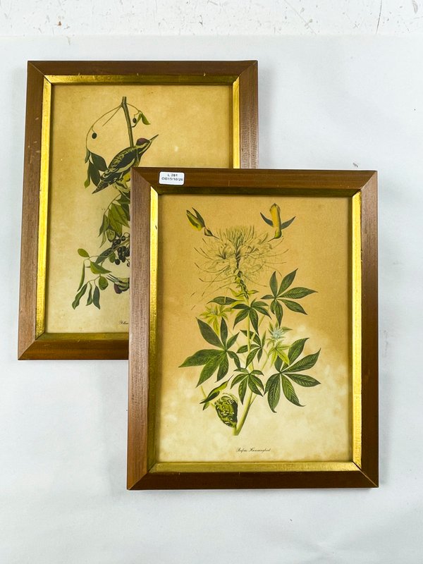 Par de Grabados Florales con Pájaros y Colibríes