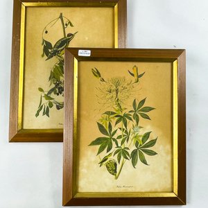Lote siguiente: Par de Grabados Florales con Pájaros y Colibríes
