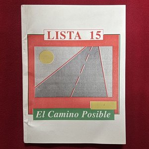 Lote de Material Político Partido Colorado: Listas, Libros y Certificado - imagen 11