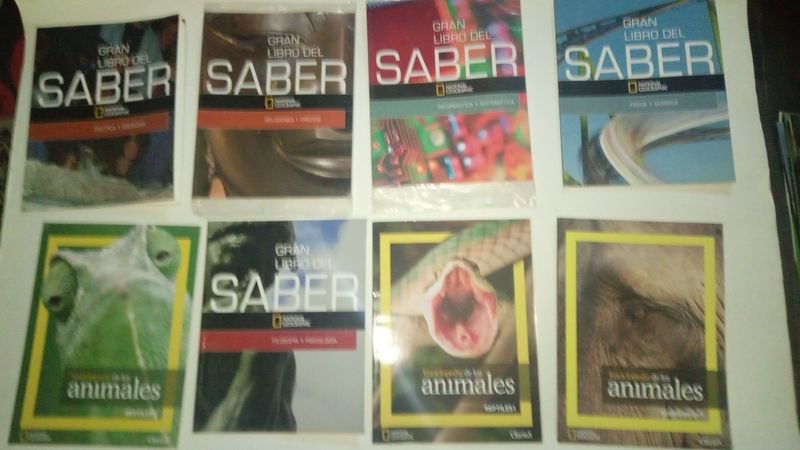 Item 891473 - Image 1