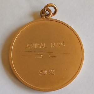 Medalla Conmemorativa "C.N. de F. 50 Años" 2012 - imagen 2