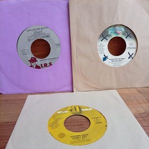 Lote anterior: Tres Discos Simples: Pointer Sisters, Go-Go's y Andrew Gold