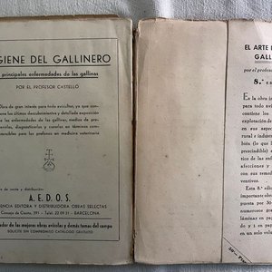 El Arte de Criar Gallinas: Manual Didáctico e Histórico - imagen 4