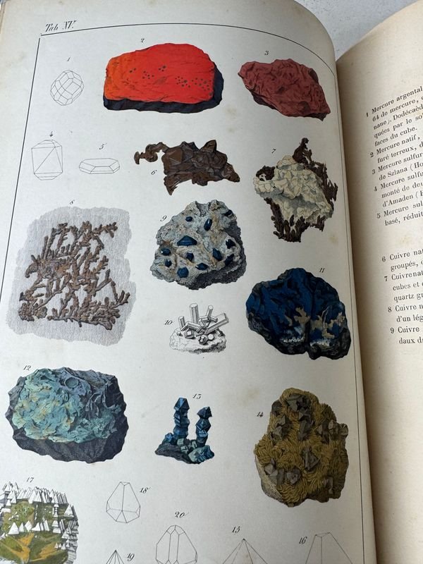 Libro antiguo de mineralogía con una mano en la cubierta - imagen 4