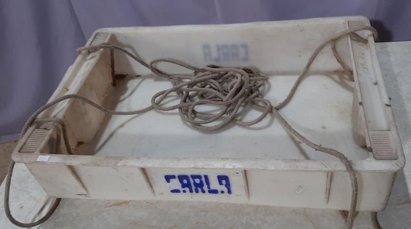 Lote anterior: BANDEJA DE PVC CON PIOLA