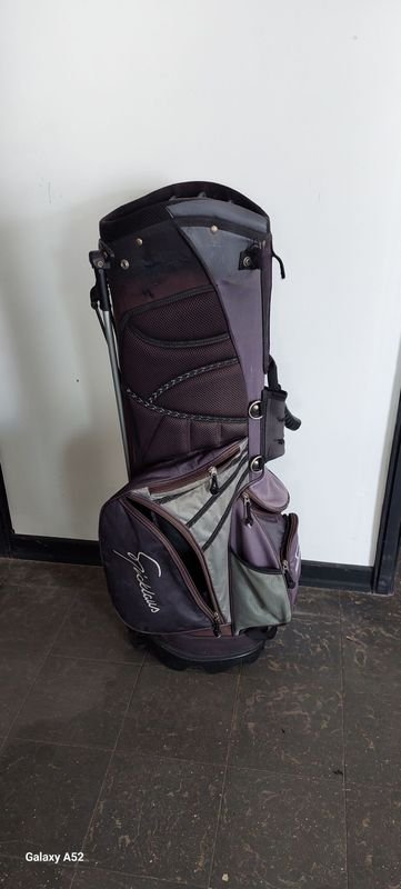 Lote anterior: Bolsos para palos de golf en excelente estado