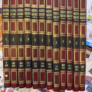 Enciclopedia Salvat Diccionario Completa - 12 Tomos Edición de Lujo - imagen 3