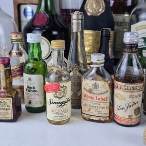 Lote de Botellas de Bebidas Alcohólicas Variadas: Empezadas y Vacías - imagen 4