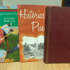 Lote anterior: Lote de 3 Libros: "El Último Mohicano", "Historias Populares" y otro de tapa dura