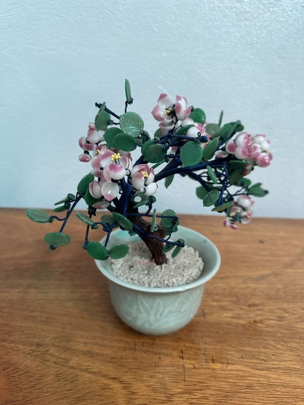 Lote siguiente: Árbol Bonsái en un Bol