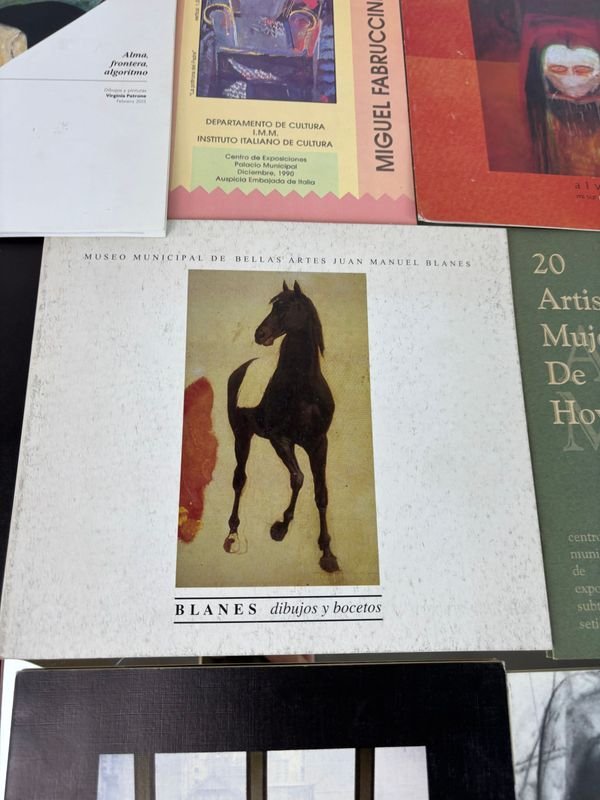 Colección de libros sobre arte y artistas uruguayos contemporáneos - imagen 7
