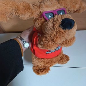Perrito de Peluche a Pilas con Movimiento y Gafas de Sol - imagen 2