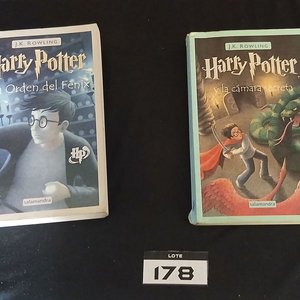 Lote de 5 Libros Infantiles y Juveniles: Harry Potter y El Erial - imagen 4