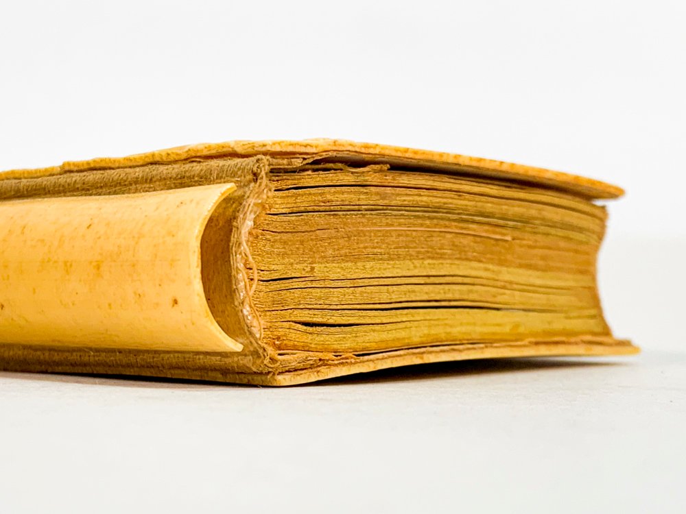 Item 486755 - Image 3