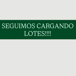 Lote siguiente: Lote en Carga