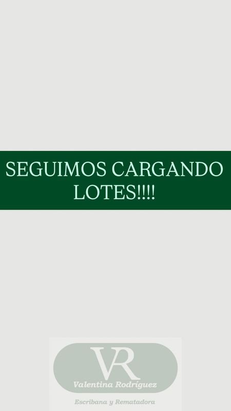 Lote en Carga