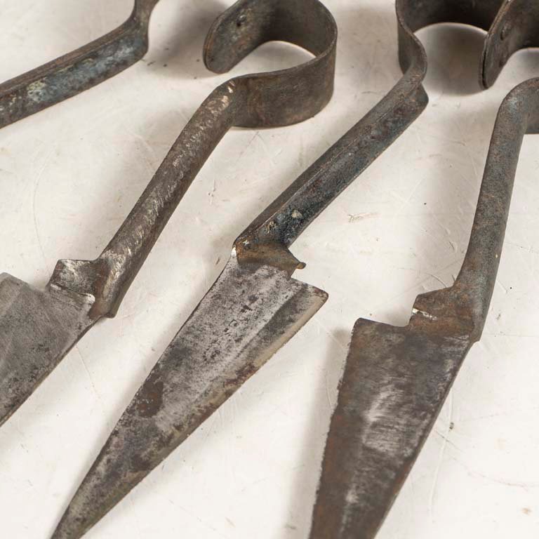 Tijeras de esquilar de metal negro - imagen 2