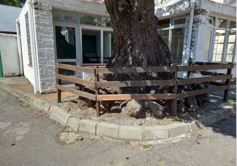 Item 893995 - Image 0