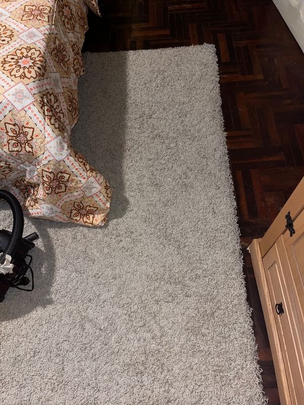 Alfombra Peluda de Textura Plush - imagen 2