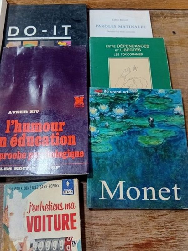 Colección de Libros en Francés - imagen 3