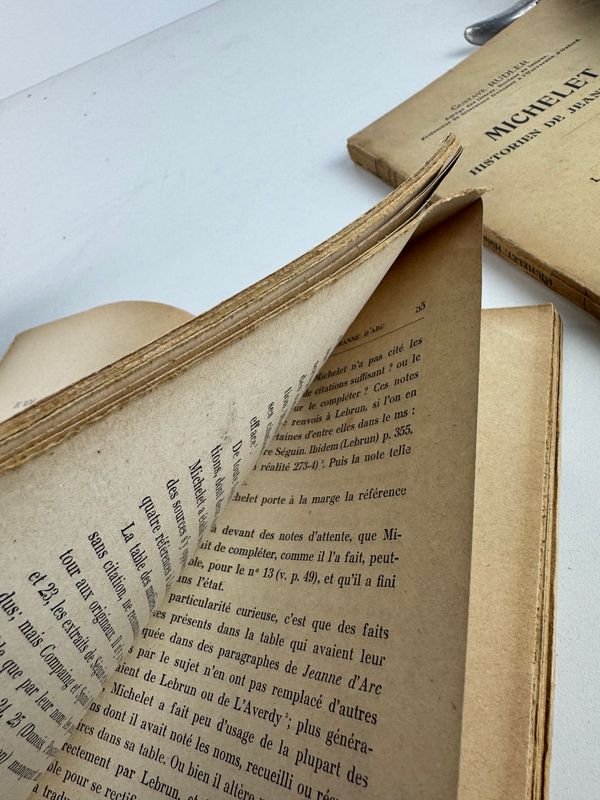 Ensayo histórico literario sobre Juana de arco y Jules Michelet por Gustavo Rudler - imagen 5