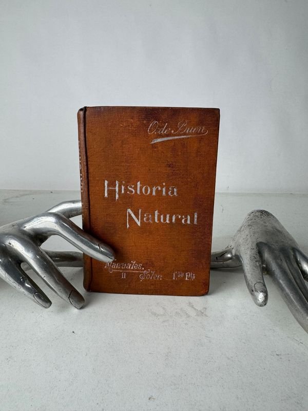Lote anterior: Libro de Historia Natural editado por Odon de Buen