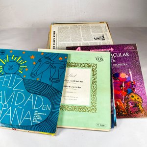 Lote de Discos de Vinilo con Diversos Títulos y Géneros - imagen 1