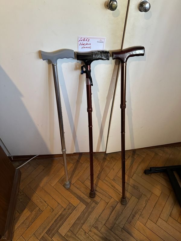 Lote anterior: Bastones ortopédicos regulables para caminar