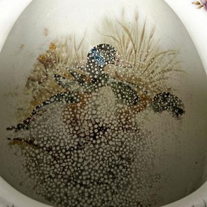 Orinal Victoriano Inglés de Porcelana con Flores y Pato - imagen 6