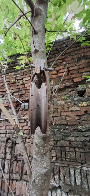 Item 880901 - Image 1