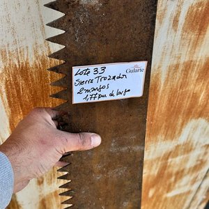 Gran trozador para 2 mangos de 1,77 m de largo, dientes impecables - imagen 5