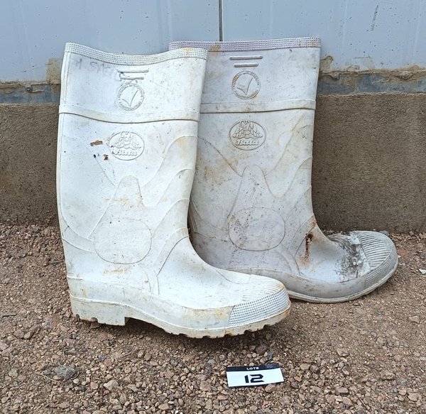 Dos Pares de botas lluvia PVC Talle 43 - Detalles de Uso - imagen 1