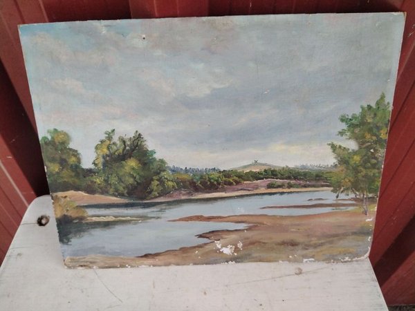 Pintura de paisaje con agua y árboles - imagen 1