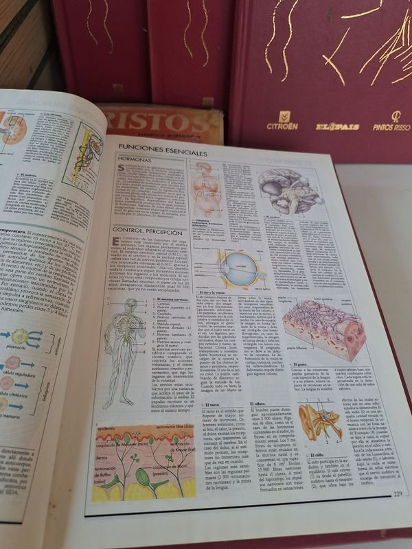 Libros de Biología y diccionarios en venta - imagen 2