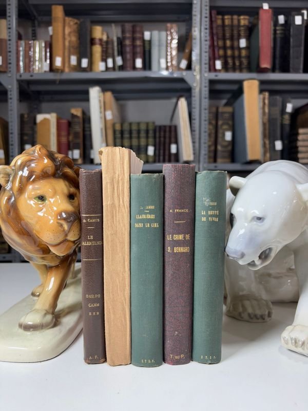 Item 889536 - Image 0