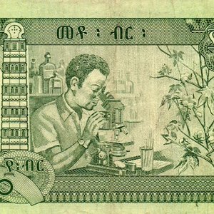Billete de 100 Birr de Etiopía - National Bank of Ethiopia - imagen 3