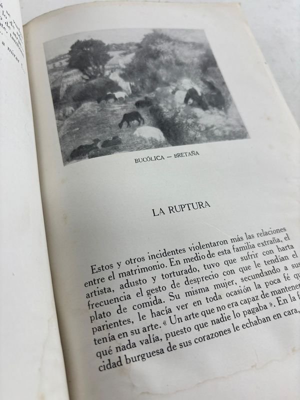 Edición ilustrada de arte y vida de Pablo Gauguin - imagen 4