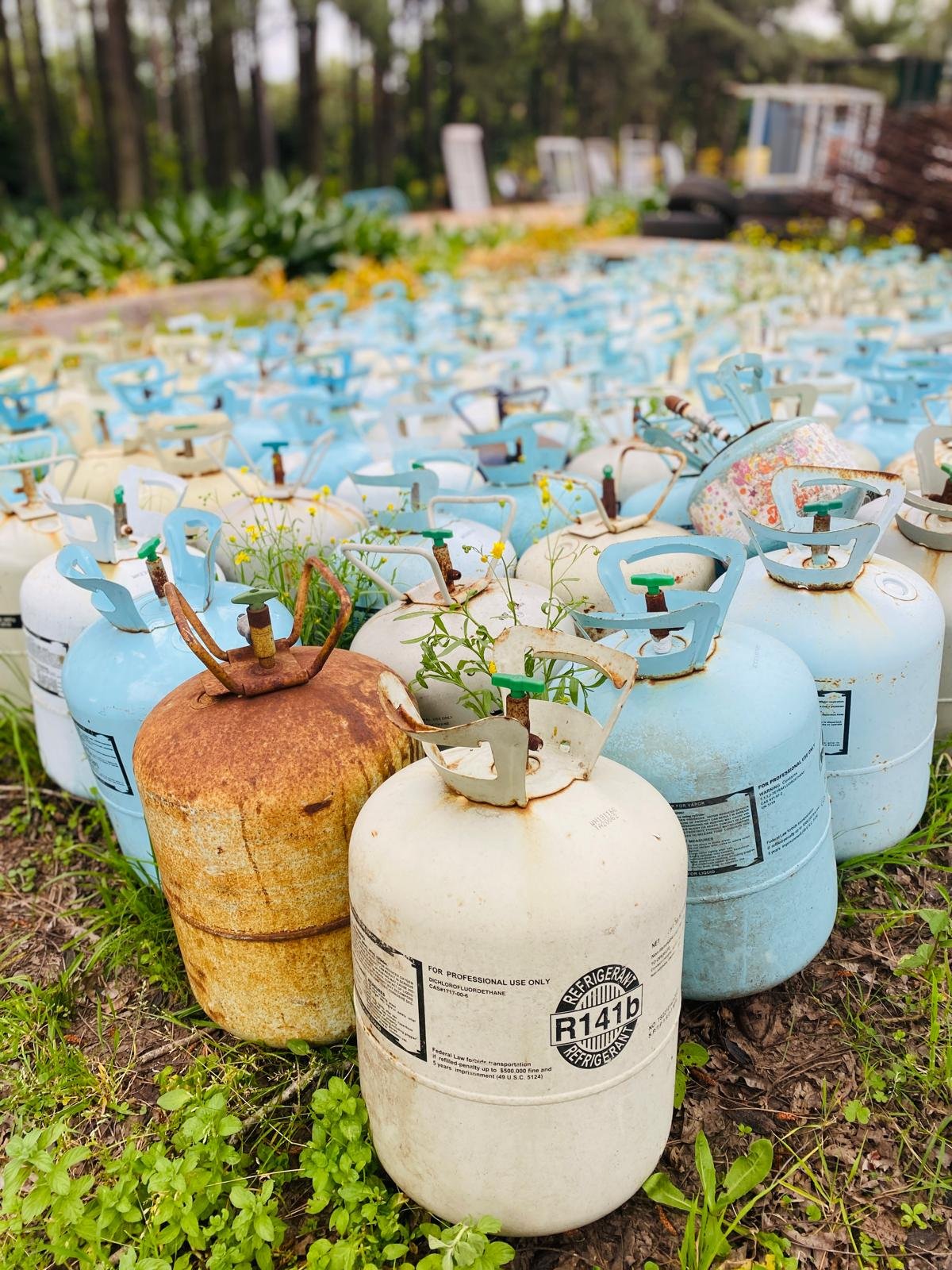 Item lote-x129-garrafas - Image 0