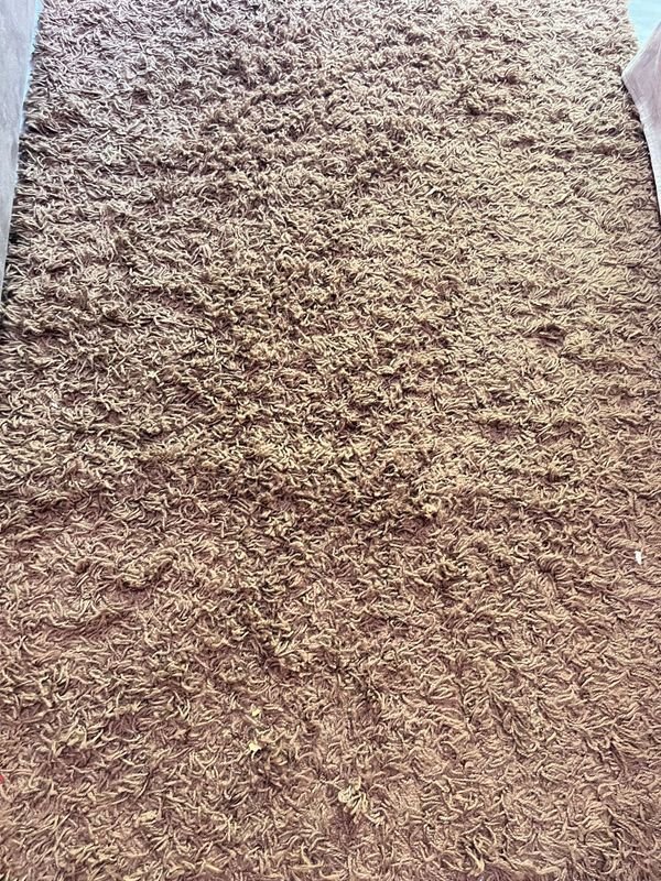 Item 924286 - Image 1