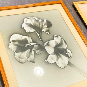 Dos cuadros diferentes flores y rostro - imagen 3