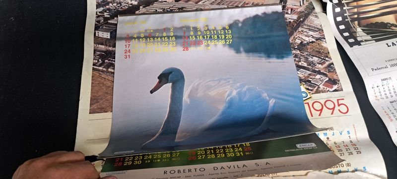 Calendarios de FUNSA y ANCAP (Animales) - imagen 9